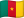 CM flag