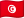 TN flag