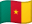 Cameroon flag
