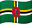 DM flag