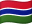 GM flag