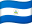 NI flag