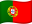 PT flag