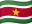 Suriname flag
