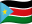 SS flag
