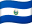 SV flag