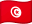 TN flag