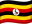 UG flag