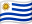 UY flag