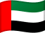 United Arab Emirates flag