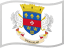 Saint Barthelemy flag