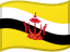 Brunei flag