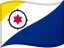 Bonaire, Saint Eustatius and Saba flag