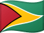 Guyana flag