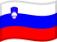 Slovenia flag