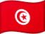 Tunisia flag